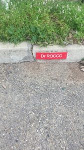 Dr Rocco