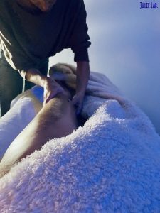 massage renata franca lunel