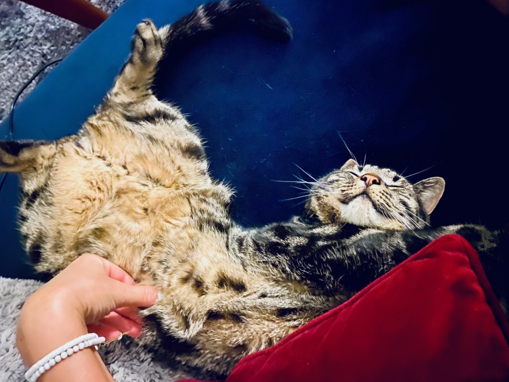 Expérience Echange de Maisons