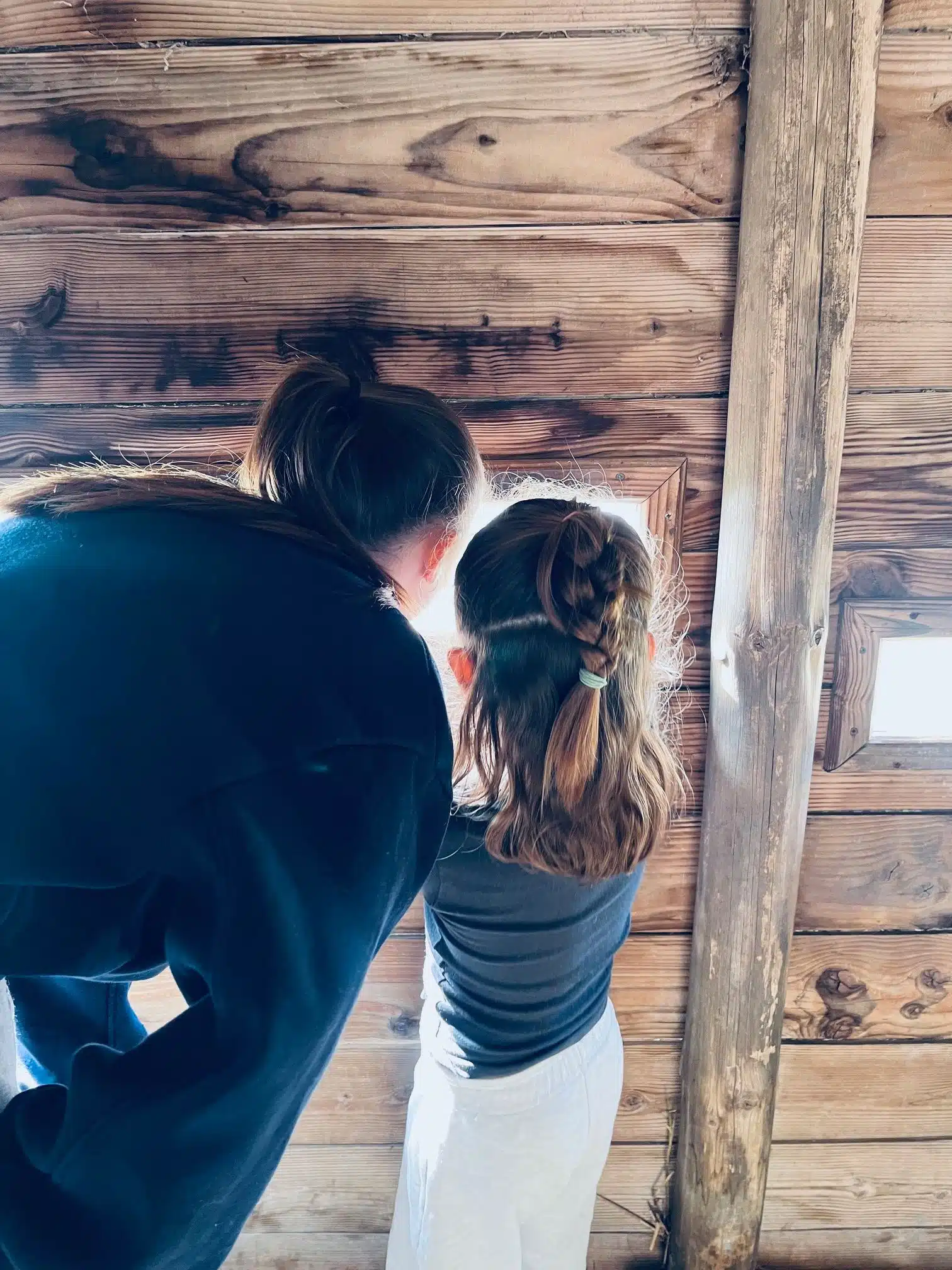 Tourisme en famille en Camargue