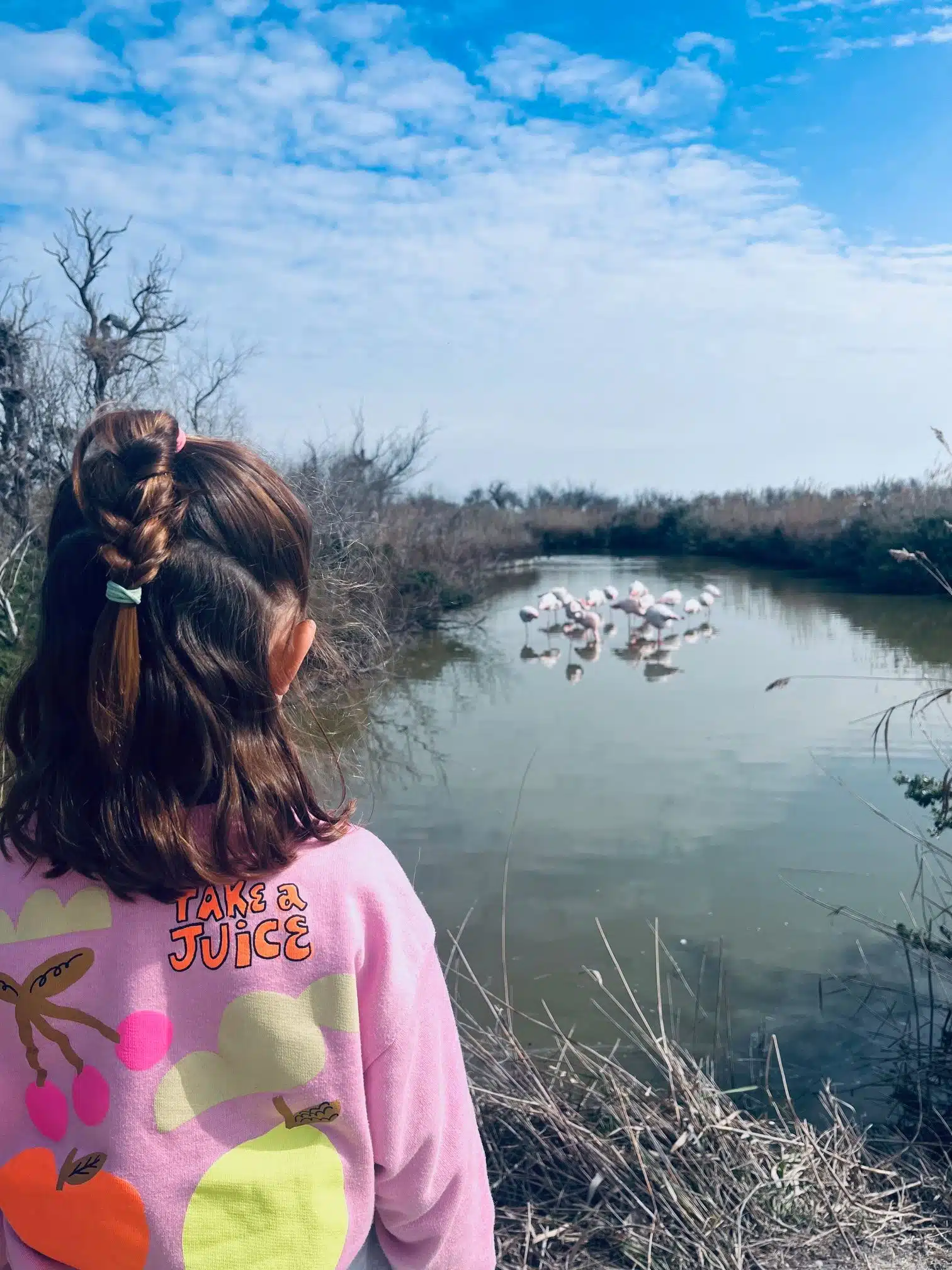 Faire découvrir la Camargue aux Enfants