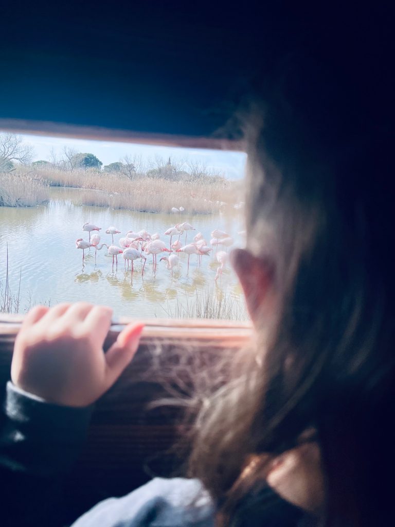 Pont de Gau Camargue