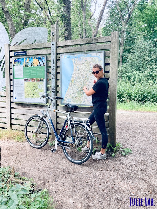 Promenade en sous bois néerlandais