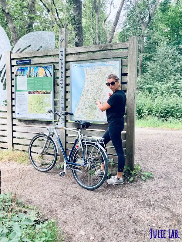 Promenade en sous bois néerlandais
