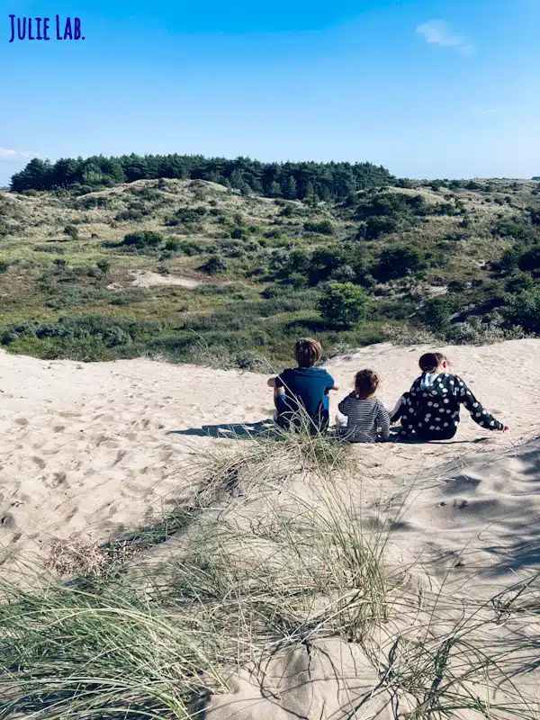 Parc National Pays Bas Zuid Kennemerland