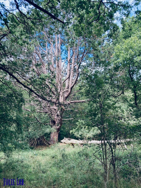 Zuid Kennermeland Tourisme