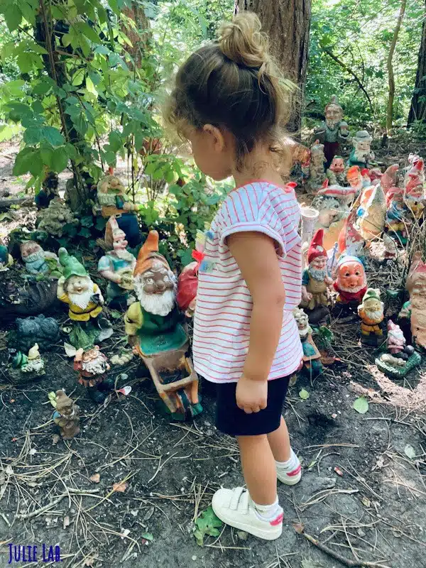 Promenade en sous bois dans les Pays Bas