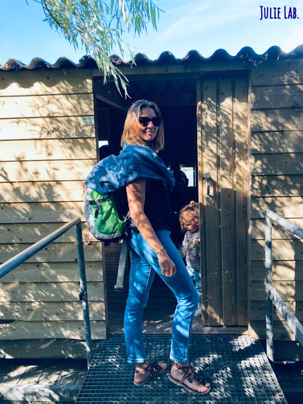 Observatoire Oiseaux Pays Bas