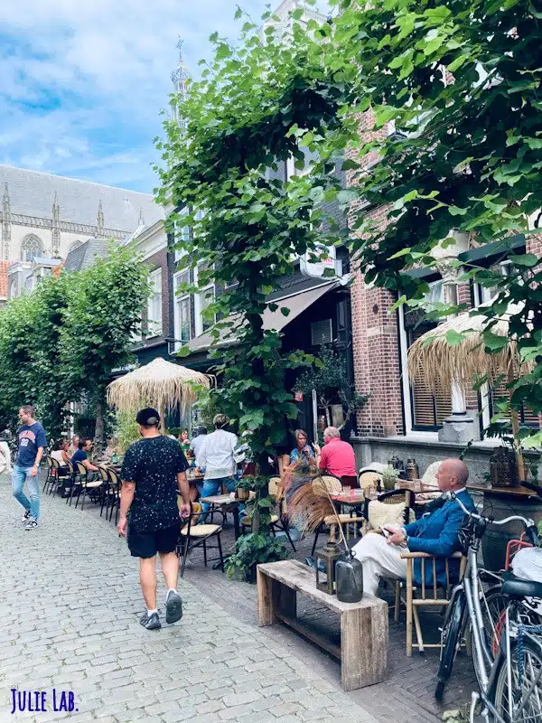 Rue du Restaurant Djikers Haarlem